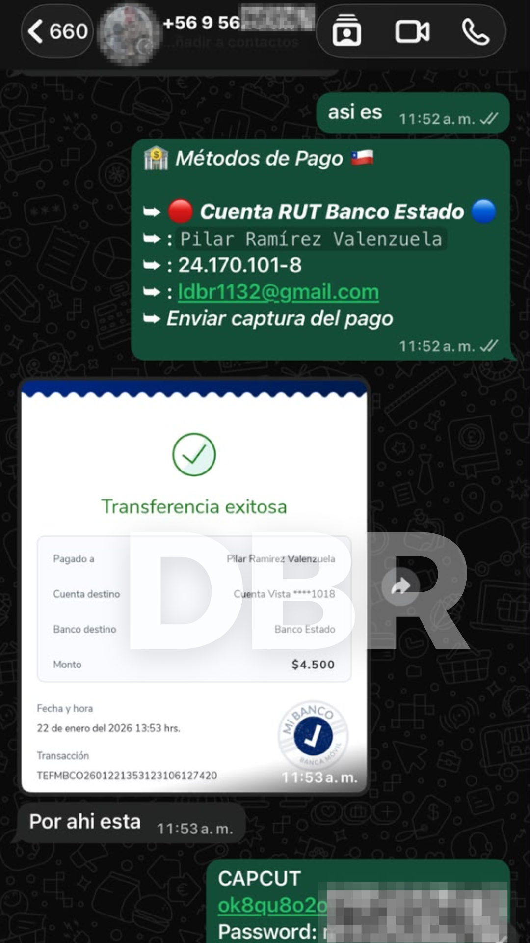 Referencia 6