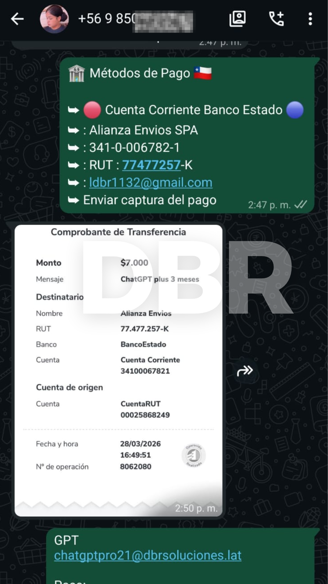 Referencia 11